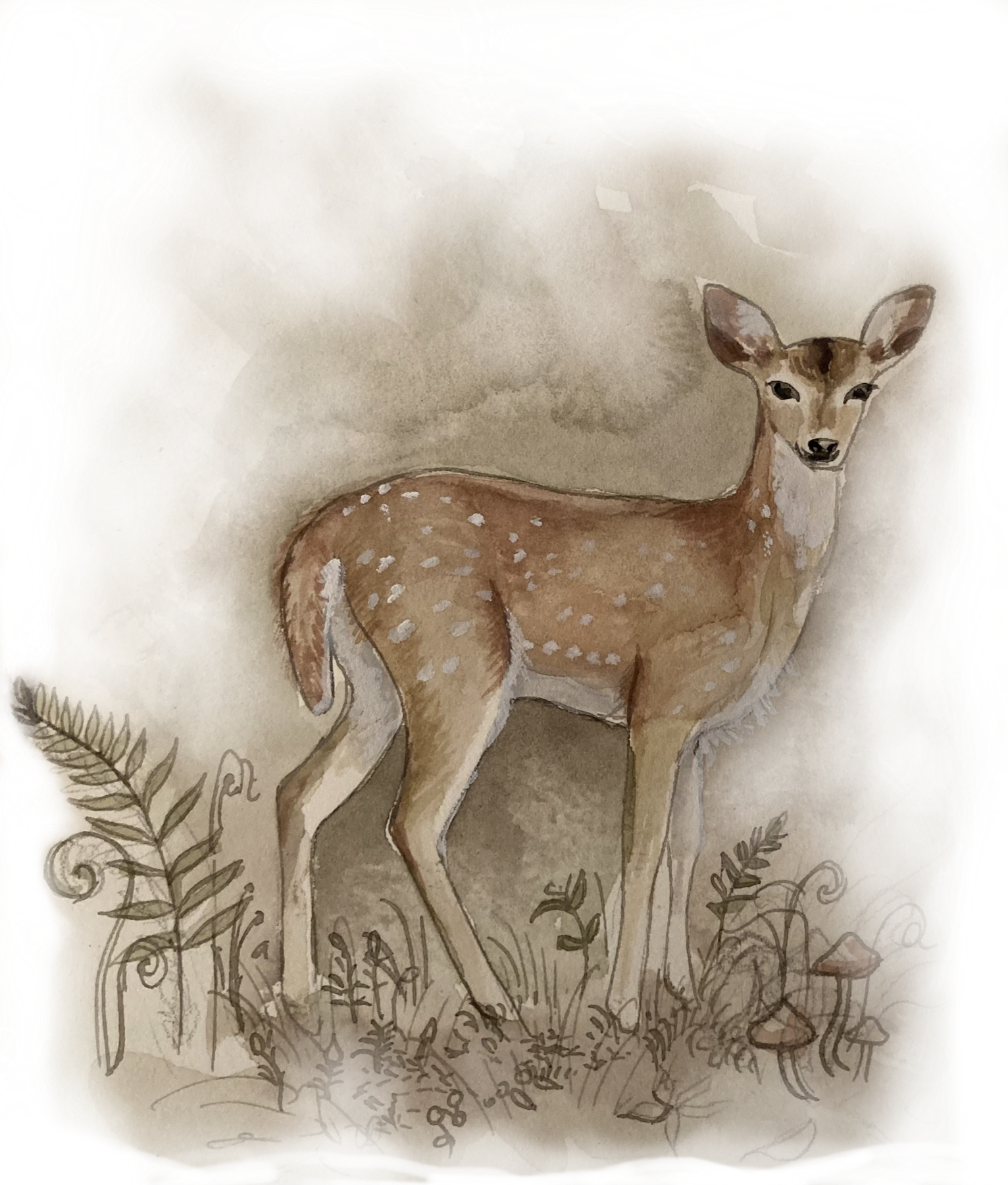 Illustration eines Rehs in der Landschaft