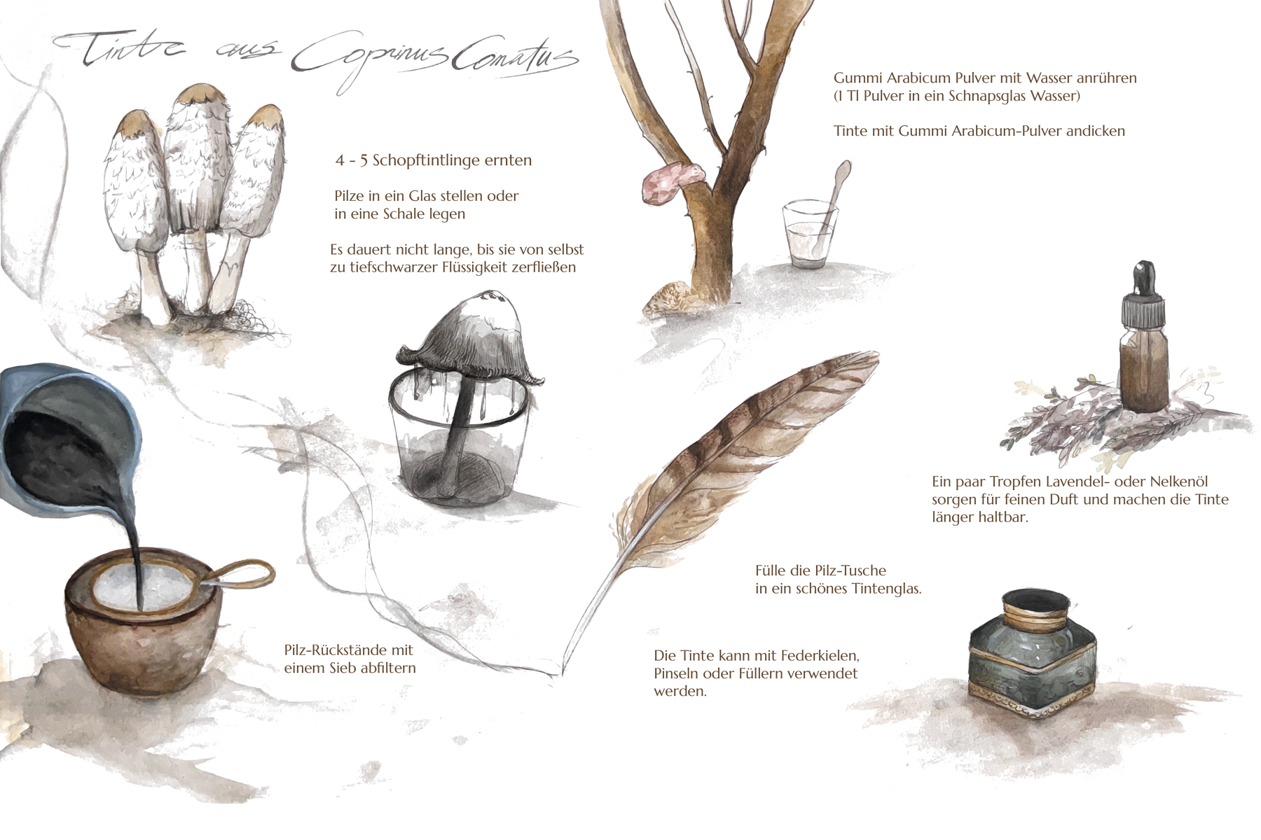 Schopftintling Illustration mit Text